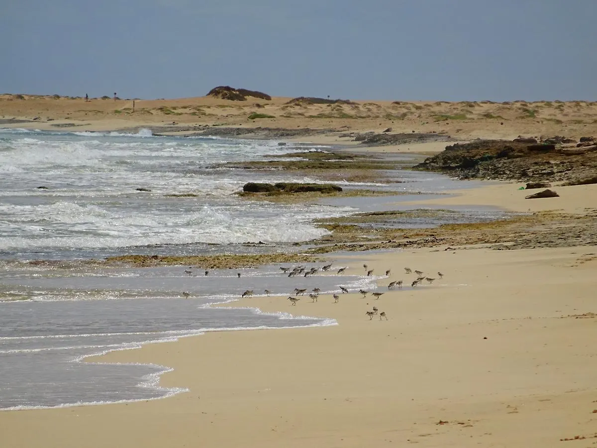 Casa Pau Guest House Santa Maria 0*,  Cape Verde